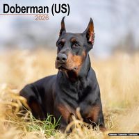 Doberman 2026 Calendar