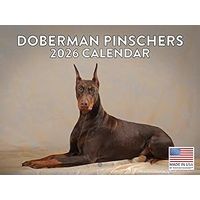 Doberman 2026 Calendar
