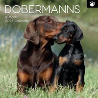 Dobermanns 2026 Calendar