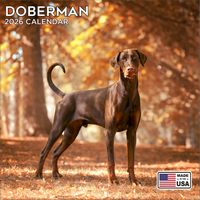 Doberman Pinschers 2026 Calendar