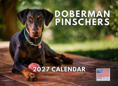 Doberman 2027 Wall Calendar