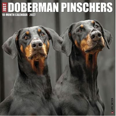 Just Doberman Pinschers 2027 Wall Calendar