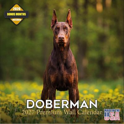 Doberman 2027 Wall Calendar