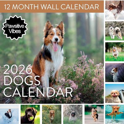 2026 Dogs Calendar