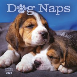 Dog Naps 2026 Calendar