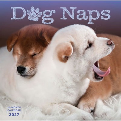Dog Naps 2027 Calendar