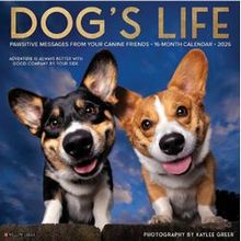 Dogs Life 2026 Wall Calendar
