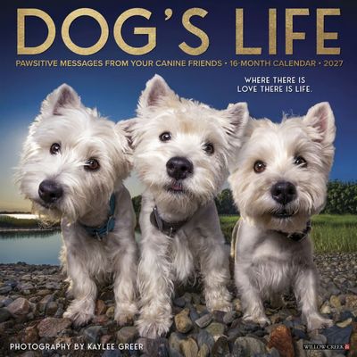 Dog's Life 2027 Calendar