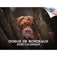 Dogue De Bordeaux 2026 Calendar