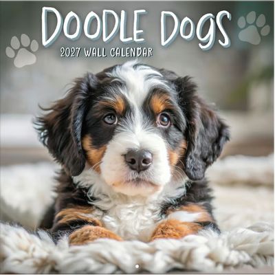 Doodle Dogs 2027 Calendar