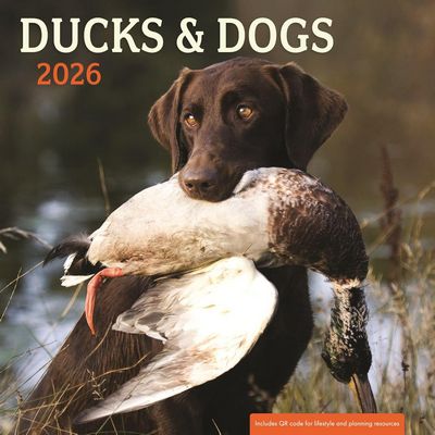 Ducks & Dogs 2026 Wall Calendar