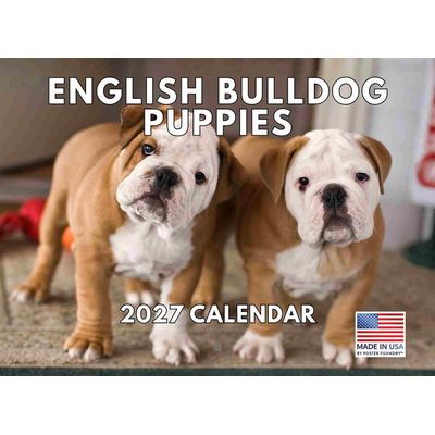 English Bulldog Puppies 2027 Wall Calendar