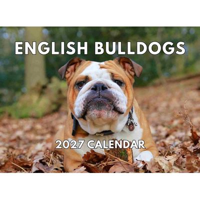 English Bulldogs 2027 Wall Calendar