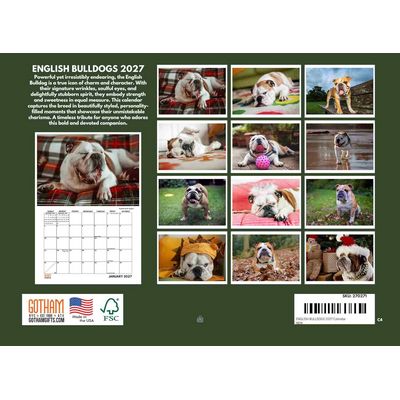 English Bulldogs 2027 Wall Calendar