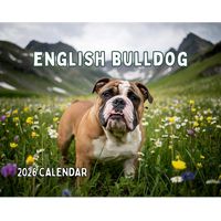 English Bulldogs 2026 Calendars