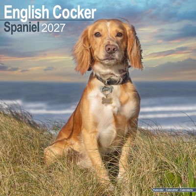 English Cocker Spaniel 2027 Calendar