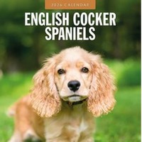 English Cocker Spaniel 2026 Calendar