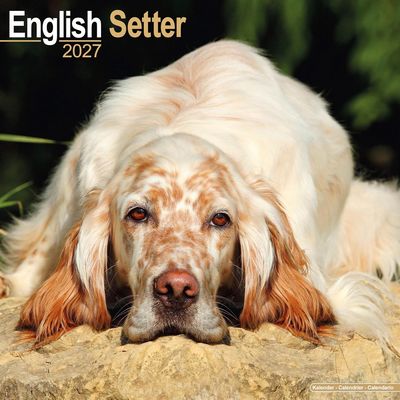 English Setter 2027 Wall Calendar