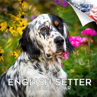 English Setter 2026 Calendar