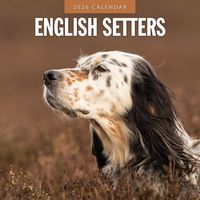 English Setter 2026 Calendar