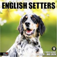 English Setter 2026 Calendar