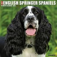 English Springer Spaniels 2026 Calendar