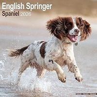 English Springer Spaniels 2026 Calendar