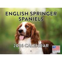 English Springer Spaniels 2026 Calendar