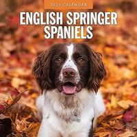 English Springer Spaniels 2026 Wall Calendar