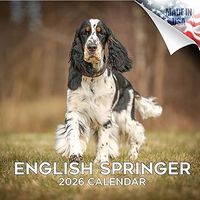 English Springer Spaniels 2026 Wall Calendar