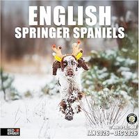 English Springer Spaniels 2026 Wall Calendar