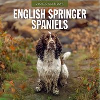 English Springer Spaniels 2026 Wall Calendar