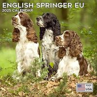 English Springer Spaniels 2026 Wall Calendar