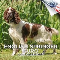English Springer Spaniels 2026 Wall Calendar