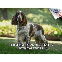 English Springer Spaniels 2026 Wall Calendar