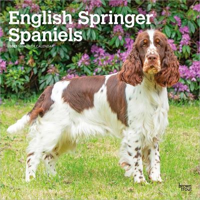 English Springer Spaniels 2027 Wall Calendar