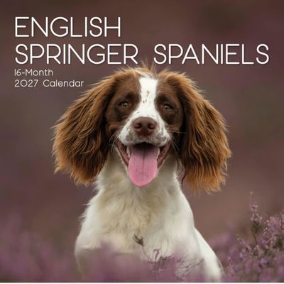 English Springer Spaniels 2027 Wall Calendar
