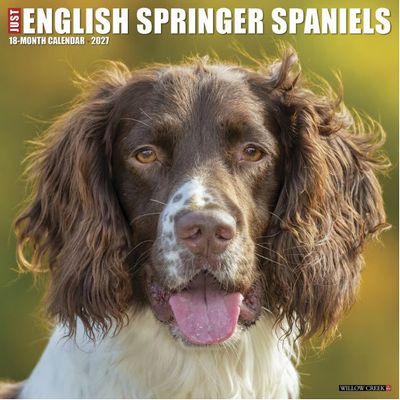 Just English Springer Spaniels 2027 Wall Calendar