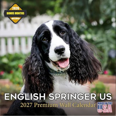 English Springer Spaniels 2027 Wall Calendar