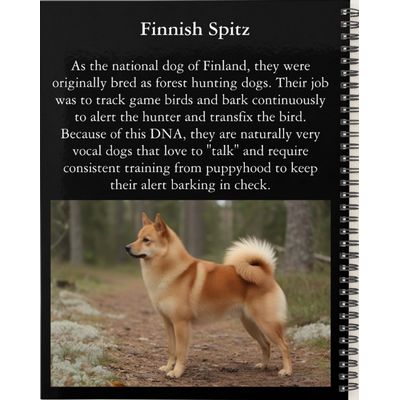 Finnish Spitz Planner