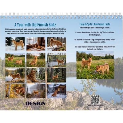 Finnish Spitz 2027 Calendar