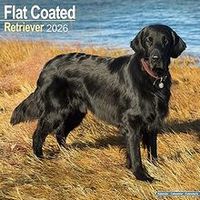 Flat-Coated Retriever Calendars