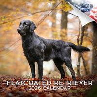 Flatcoated Retriever 2026 Calendar