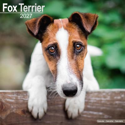 Fox Terriers 2027 Wall Calendar