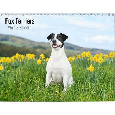 Fox Terriers Wire & Smooth 2027 Wall Calendar