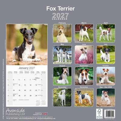 Fox Terriers 2027 Wall Calendar