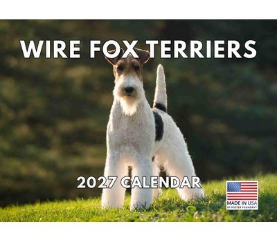 Fox Terrier Wire Haired 2027 Wall Calendar
