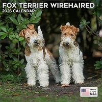 Fox Terrier Wire Haired 2026 Calendar