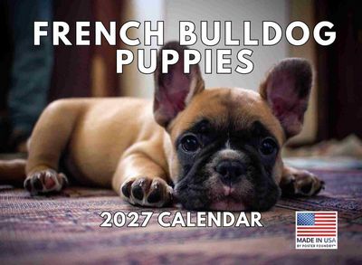 French Bulldog Puppies 2027 Wall Calendar