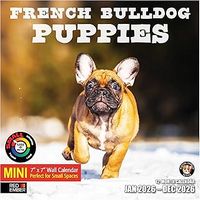 French Bulldog Puppies 2026 Wall Calendar